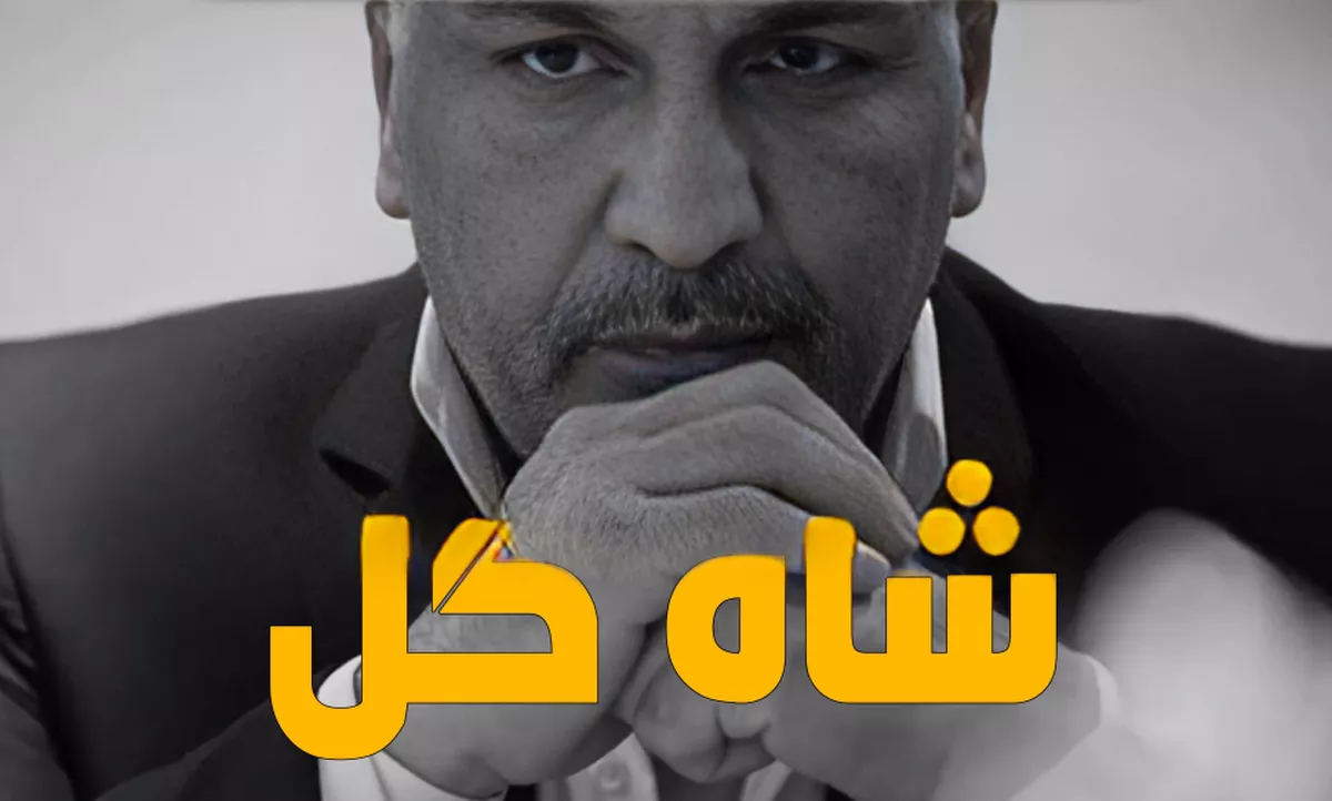 سریال شاهگل